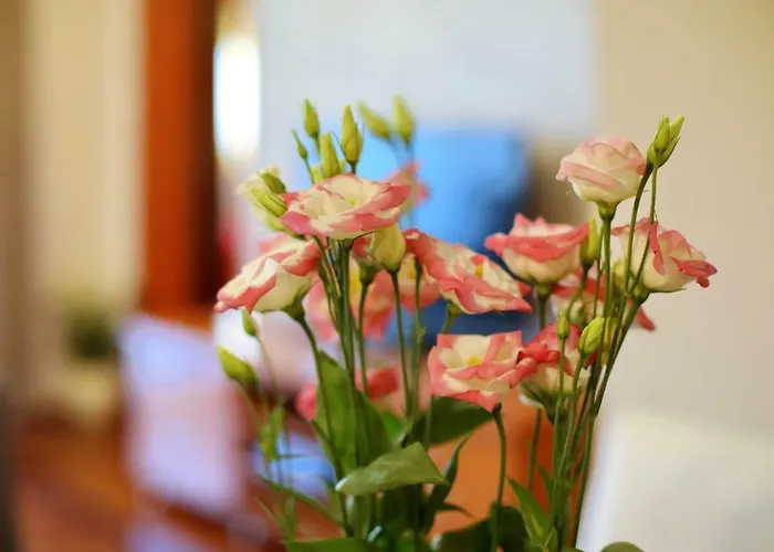 Apartamento Toni Zadar